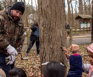Maple tree tapping is a Pennsylvania tradition. Photo courtesy of Philadelphia Parks and Rec