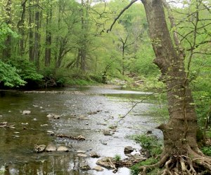 Pennypack Park. Awesome Things to do with Kids in Northeast Philadelphia