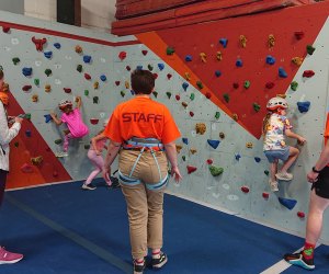 Indoor Rock Climbing for Philly Area Families: Doylestown Rock Gym