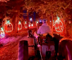 Take a hayride through the woods at Shady Brook Farm's Eerie Illuminations. Photo courtesy of the farms