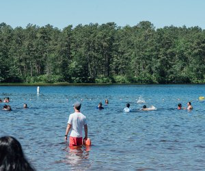 Bass River State Forest. Photo courtesy NJ State Park Service