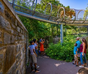 Join in Clarke's Listening Walk at the Philadelphia Zoo to listen, learn and explore the zoo. Photo by J. Fusco/Visit Philadelphia