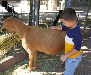 KidZooU Playground and Faris Family Education Center