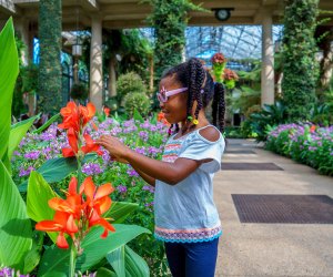 Longwood Gardens