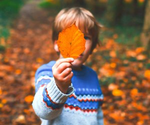 Boston kids have some exciting things to do that are Free in November, like Free Entrance Days in the National Parks on November 11th! Photo by Annie Spratt, courtesy of Unsplash