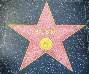 Big Bird's star on the walk of fame