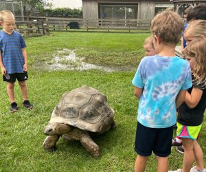 Petting zoos near Houston: TGR Exotic Wildlife Park