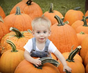 Image of child and pumpkins - Top Things To Do in CT this Fall