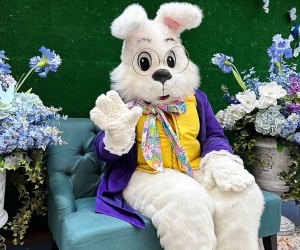 Try Bunny Bash in Lombard this weekend. Photo courtesy of the Yorktown Center
