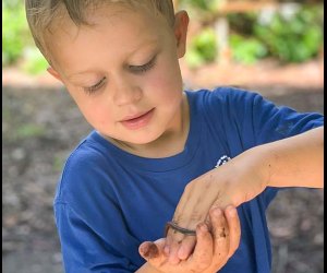 Even the youngest kids can explore nature at Camp La Scuola. Photo courtesy of Camp La Scuola