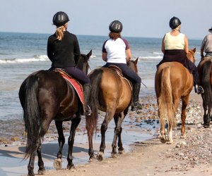 Combine sightseeing and horseback riding with a Galveston beach tour.