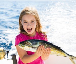 New to fishing? Try a Galveston fishing boat tour.