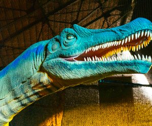 Dinos Alive: Immersive Exhibit