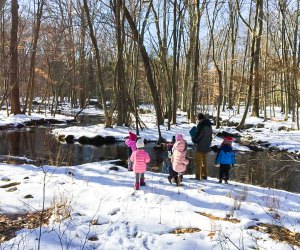 winter fun snow Roaring Brook Nature Center hikes for kids - Winter Day Trips