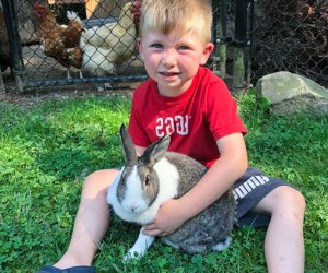 photo of child holding a rabbit - Petting zoos in Connecticut