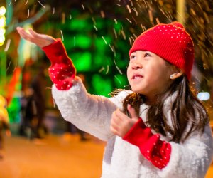 See the snowfall on New Year's Eve! Photo courtesy of Gilroy Gardens 