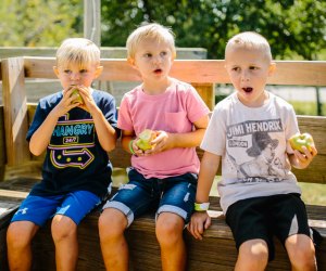 Apple Picking Near DC: Great Country Farms