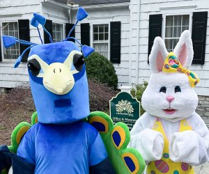 The Easter Bunny will have a little help in New Milford! Egg Hunt photo courtesy of Harrybrook Park