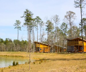 Lake Houston Wilderness Park has cabins for overnight camping. Photo courtesy of Houston Parks HPARD, Facebook