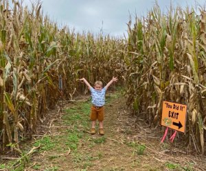 Jumbo's Pumpkin Patch Corn Maze