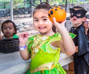 Treat yourself to an adorable Halloween. Photo courtesy of Kidspace Children's Museum