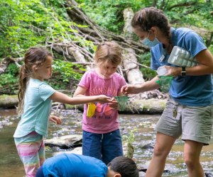Free Things To Do Near DC in the Summer: nature centers