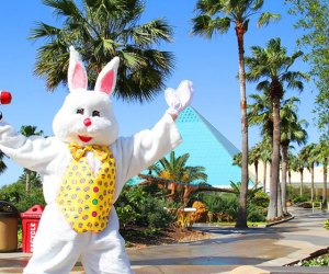 The Easter Bunny comes to Galveston, too. Photo courtesy of Moody Gardens