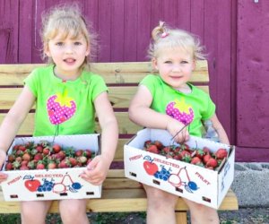 Photo courtesy of Olive Berry Acres