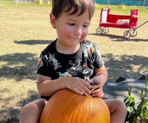 From pumpkins to corn mazes, there's loads of seasonal fun at local farms. Photo courtesy of P6 Farms