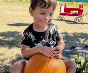 It's finally time for pumpkin patches and fall festivals! Photo courtesy of P6 Farms