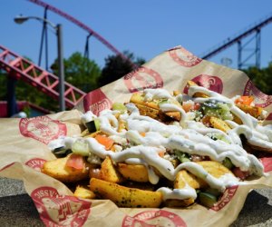 Photo of gyro fries from Six Flags New England.