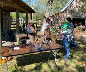 Visit Armand Bayou Nature Center for hiking, kayaking, bat encounters, and more. 