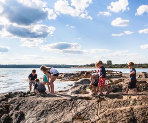 Photo of kids exploring rocks along the Maine shore