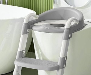 If you have the space to store the BB Fancy Potty Chair with Ladder, it's awesome. 
