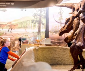 Photo of kids with dinosaur skeleton at Boston Museum of Science