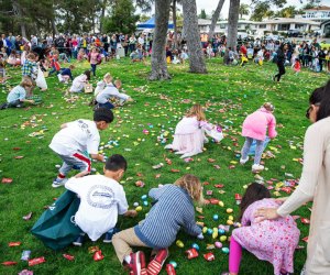 Hunt for egg-cellent treats. Photo courtesy of the City of Dana Point
