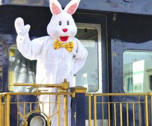 All aboard for train rides with the Easter Bunny in Connecticut. Photo courtesy of the Essex Steam Train