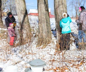 Head to Woodbury for a maple sugaring tour in 2023! Photo courtesy of the Flanders Nature Center