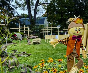 Stick around Connecticut for family activities this holiday weekend! Scarecrow photo courtesy of the Greenwich Historical Society