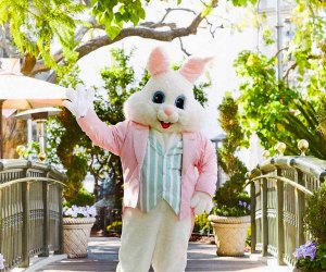 Here comes Peter Cottontail! Photo courtesy of The Grove