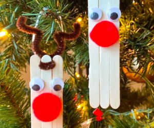 25 DIY Ornaments