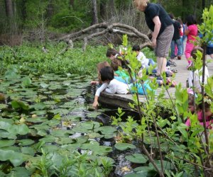 picture of kids enjoying spring break 2024 at the Houston Arboretum