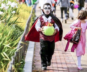Spooky Zoo offers free, daytime trick-or-treating. Photo courtesy of Lincoln Park Zoo