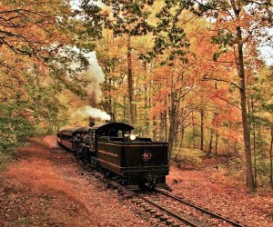 Fall Train Rides Near DC: New Hope Railroad Fall Excursion