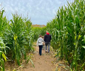 Families are taking the field this fall, for family fun at Corn Mazes in Connecticut! Photo courtesy of Preston Farms