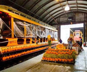 Pumpkin patches and spooky rides await this Halloween! Pumpkin Patch photo courtesy of The Shore Line Trolley Museum 