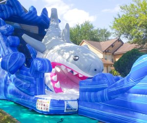 Birthday party rentals in Houston: TLG Inflatables