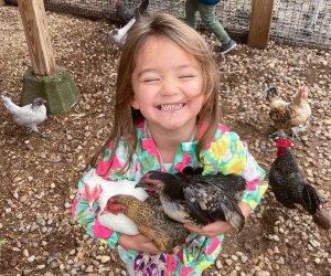 Find feathered friends and encounter animals up close at petting zoos in Connecticut. Photo courtesy of Westmoor Park