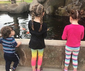 Things to Do in Phoenix with Kids: World Wildlife Zoo