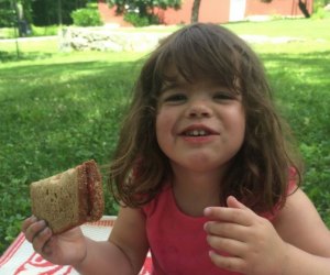 Six Perfect Picnic Places in Fairfield County
